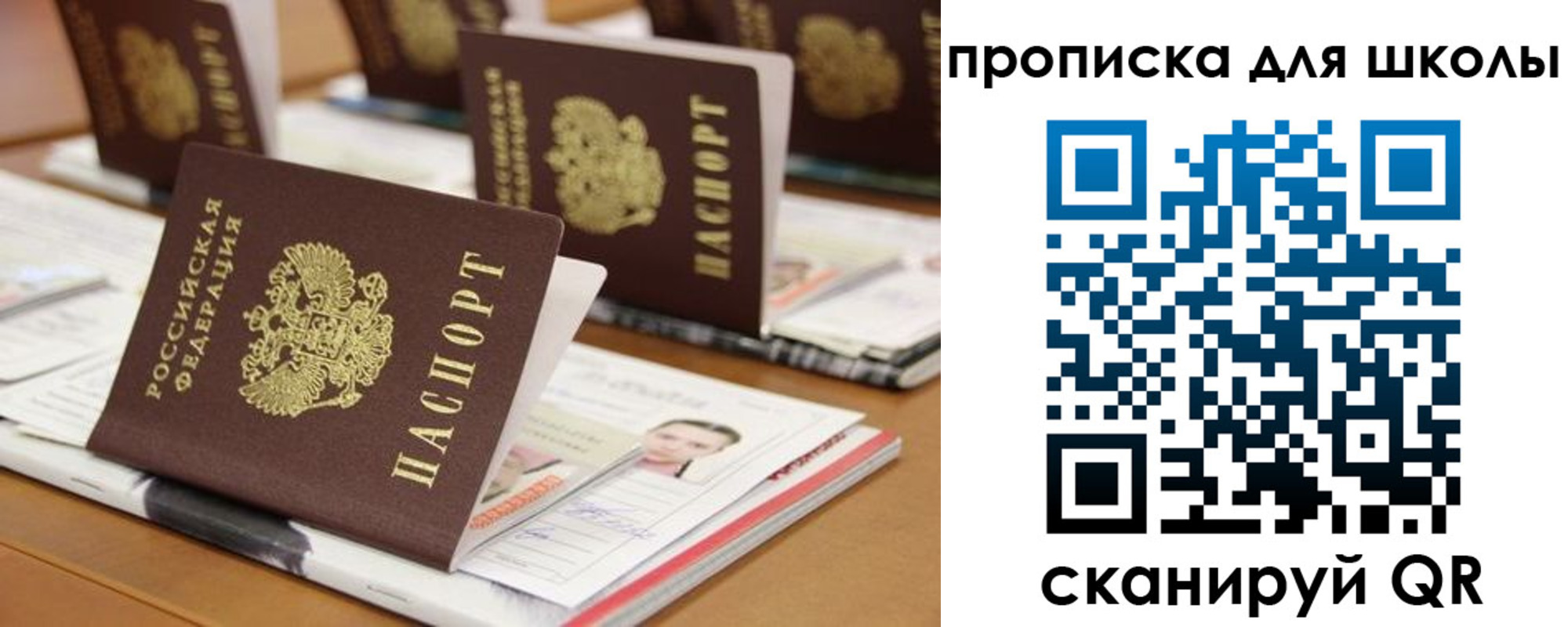 временная регистрация надежно в Острогожске
