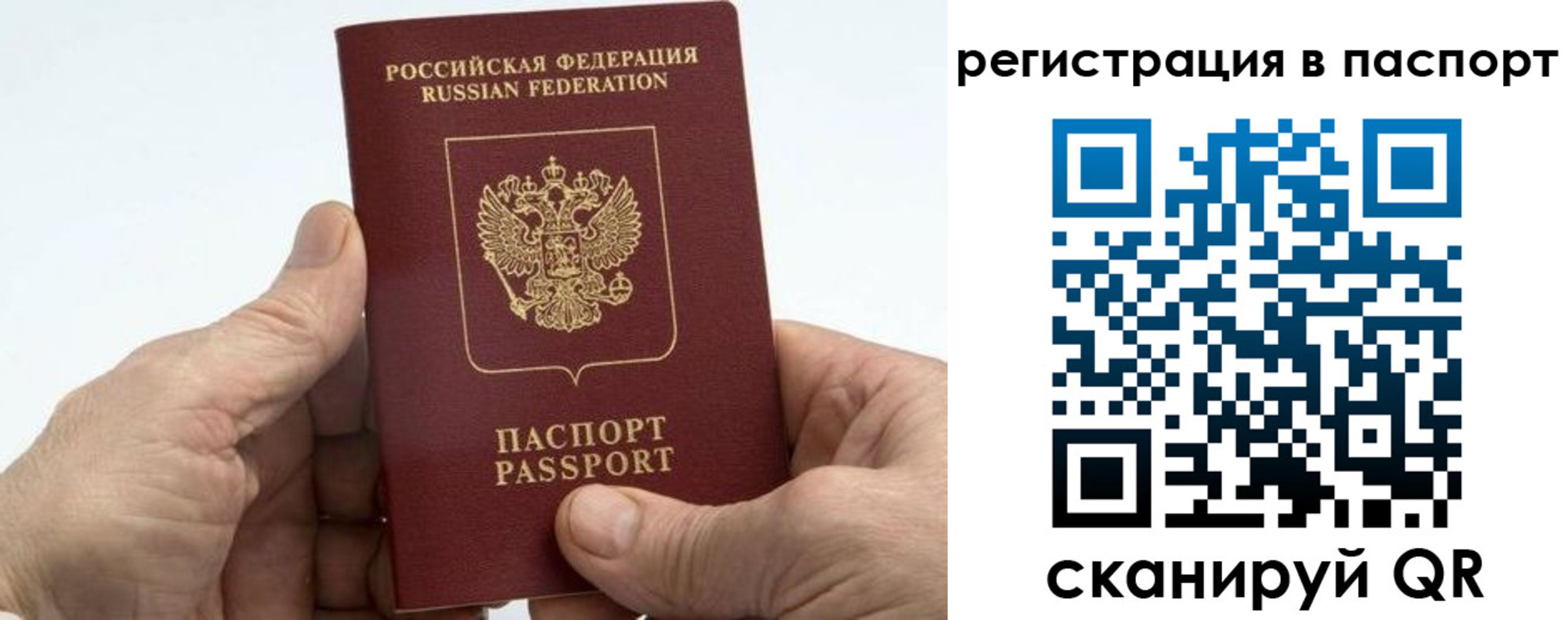 купить прописку в Острогожске